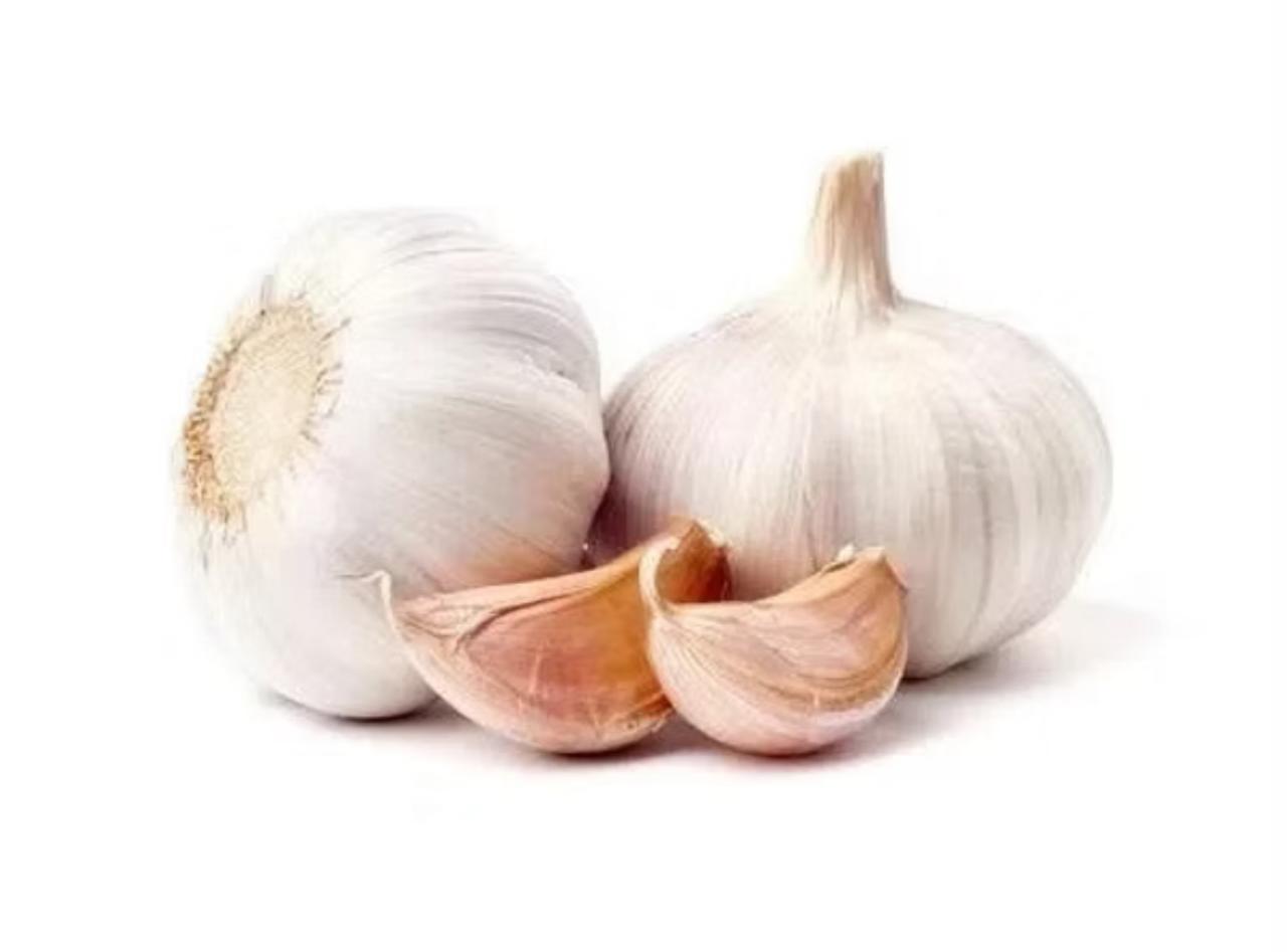 WhatsApp Image 2025-09-21 at 15.26.03 (1)