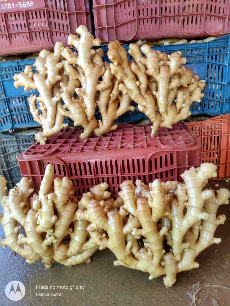 WhatsApp Image 2025-09-21 at 15.28.44 (1)